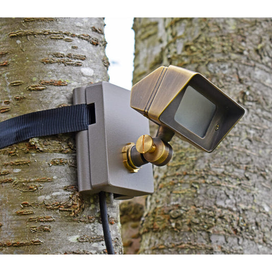 Charleston Cobra - 12v Mini Floodlight Clear/Frosted Lens - Brass