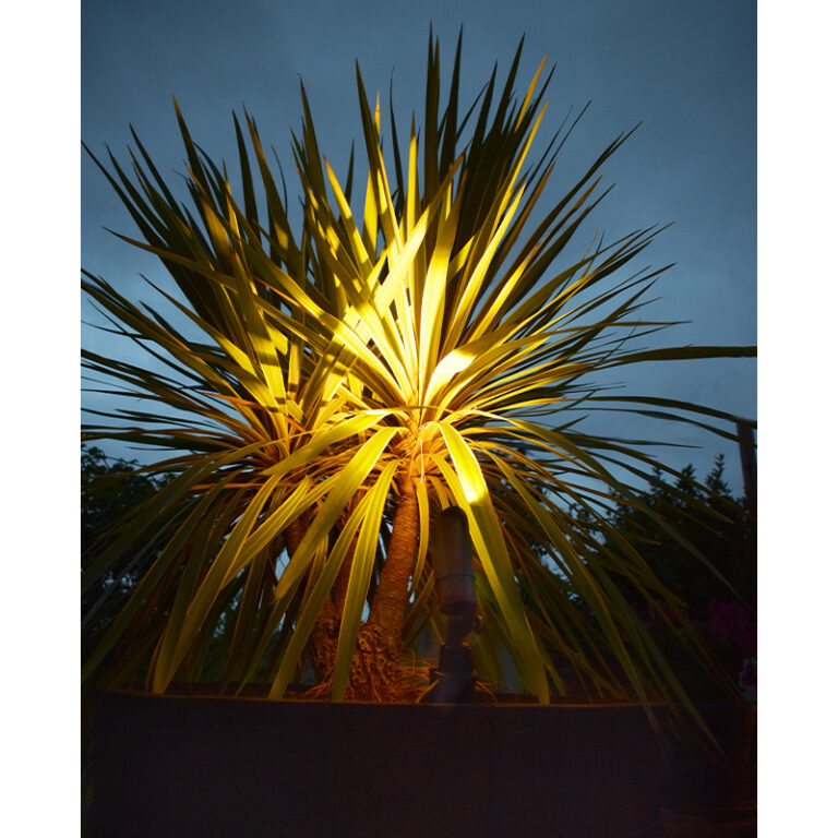 Charleston Minilite - Mini Spotlight - Solid Brass - Rustic Bronze Finish (12v Plug and Play)