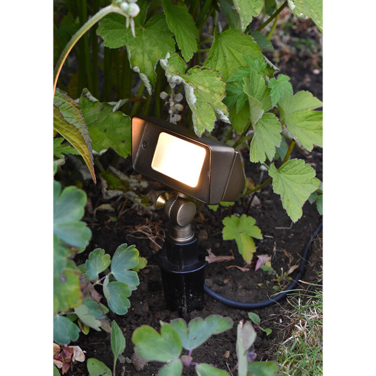 Charleston Cobra - 12v Mini Floodlight Clear/Frosted Lens - Brass