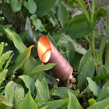 Astros - Natural Copper Spotlight (12v Plug & Play)