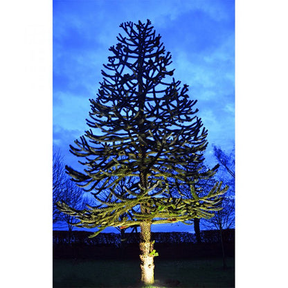 ParFlood 38 - PAR38 Floodlight / Uplight