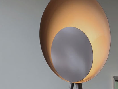 Charcoal Grey Diffuser Floor Lamp